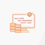 How to Use SQL Query for Case Sensitive Data in Magento 2