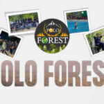 Trip to Polo Forest