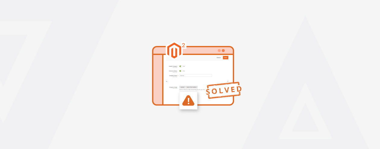 Solved: Category Image Deletes After Initial Save in Magento 2