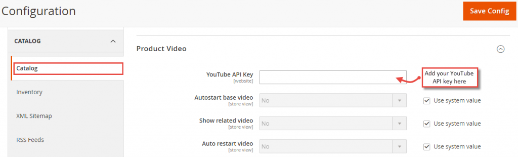 Add API key in Magento 2