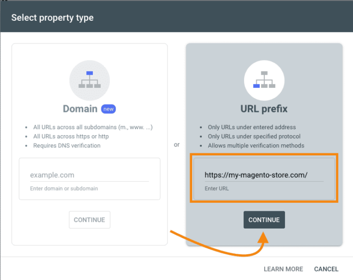 Add Magento Website in URL Prefix and click Continue