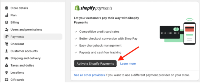 Activate Shopify Payments to create a Shopify store