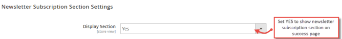 Newsletter Subscription Section Settings