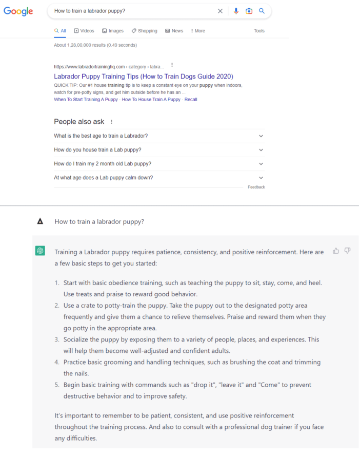 ChatGPT vs Google comparison - how to train a lab puppy