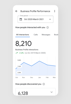 Google My Business Analytics 