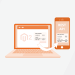 How to Get Total Segment Using Magento 2 Rest API