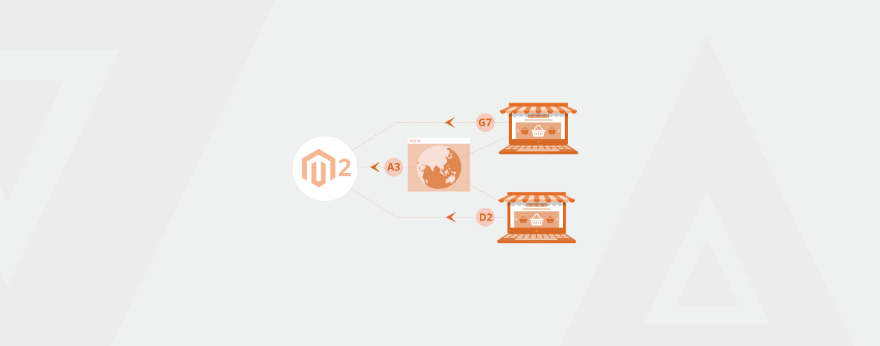 How to Get Website ID and Store ID from Admin in Magento 2