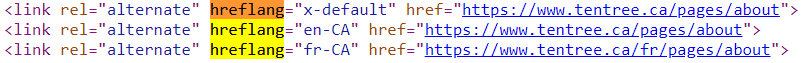 Hreflang Tags Example