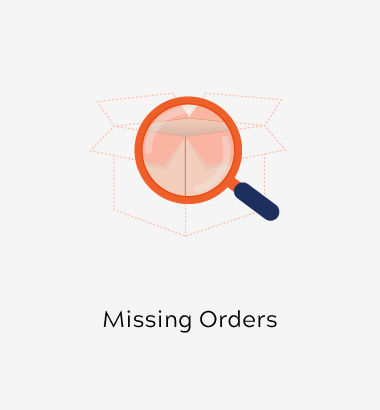 Magento 2 Missing Orders Extension