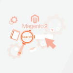 Magento 2 Search Settings and Terms