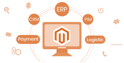 Magento API Integration Services