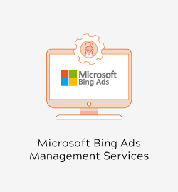 Icon of Microsoft Bing Ads Management Services