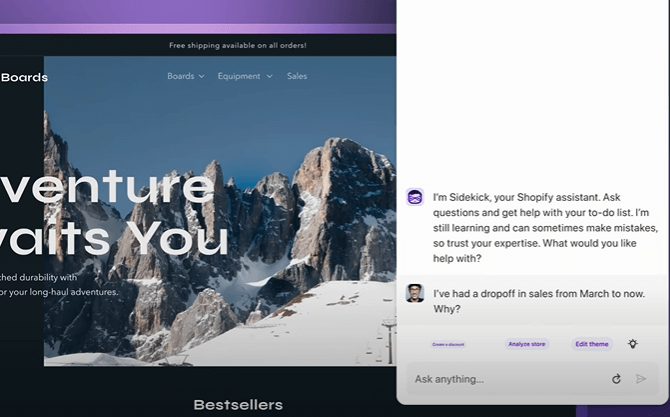 Shopify Sidekick