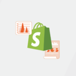 Shopify Statistics