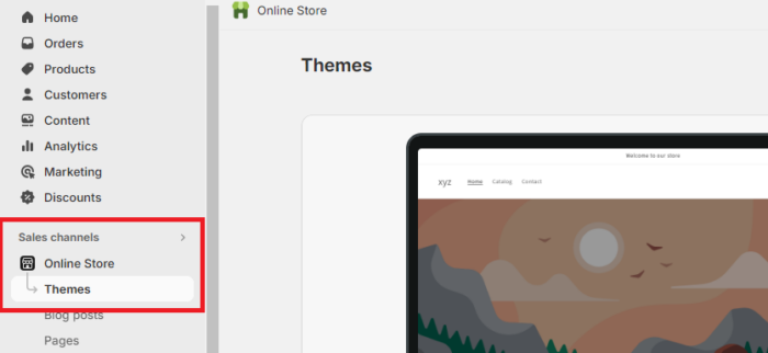 Head to Shopify themes 