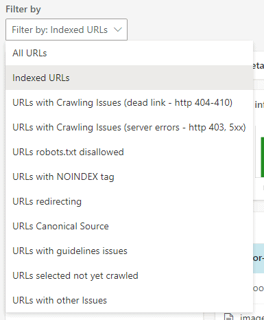 Site explorer filters in Bing Webmaster Tools