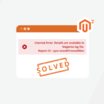 Solved – PayPal Issue in Magento 2.3.3 Checkout