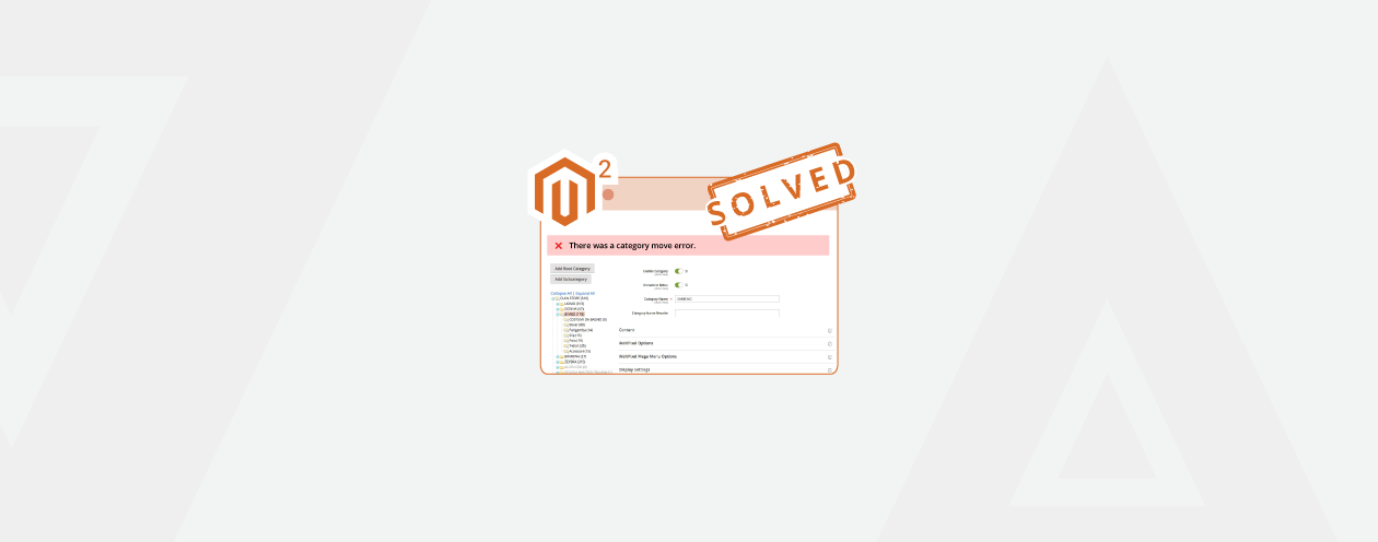 There was a category save error in Magento 2