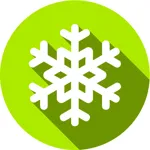 Christmas Snow Decoration Shopify app