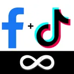 Facebook Pixels TikTok Pixels Shopify app